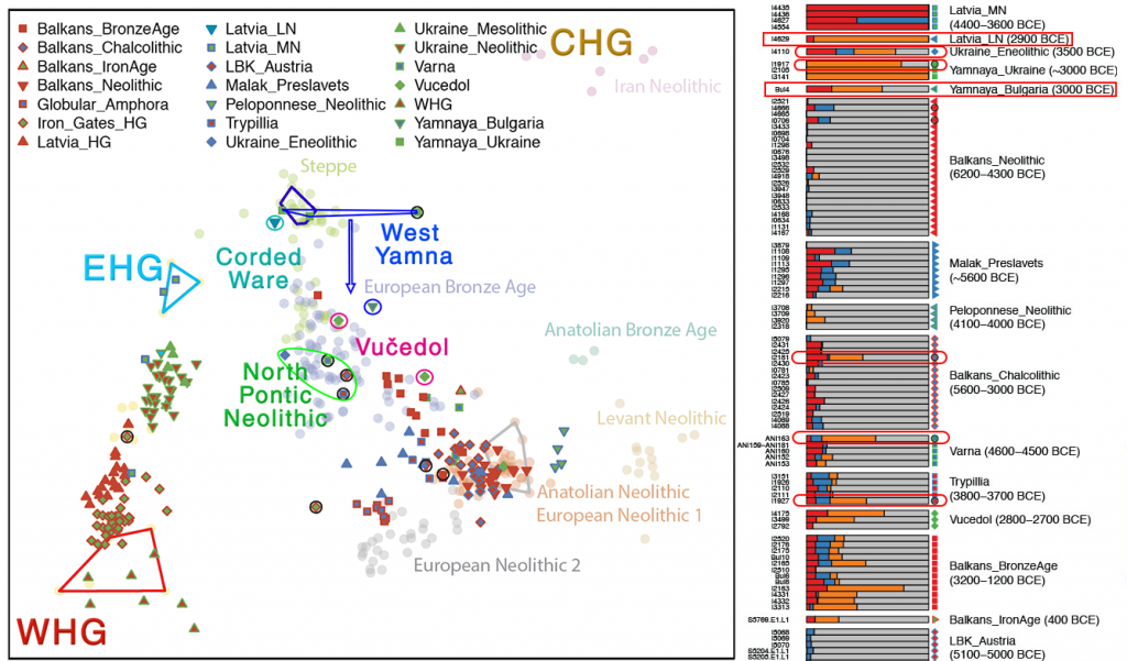 pca-admixture-yamna