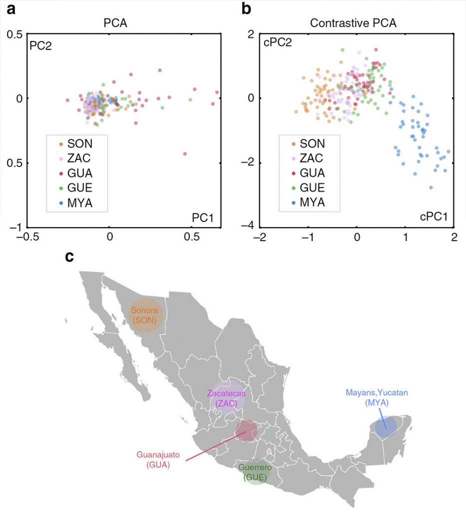 cpca-mexico